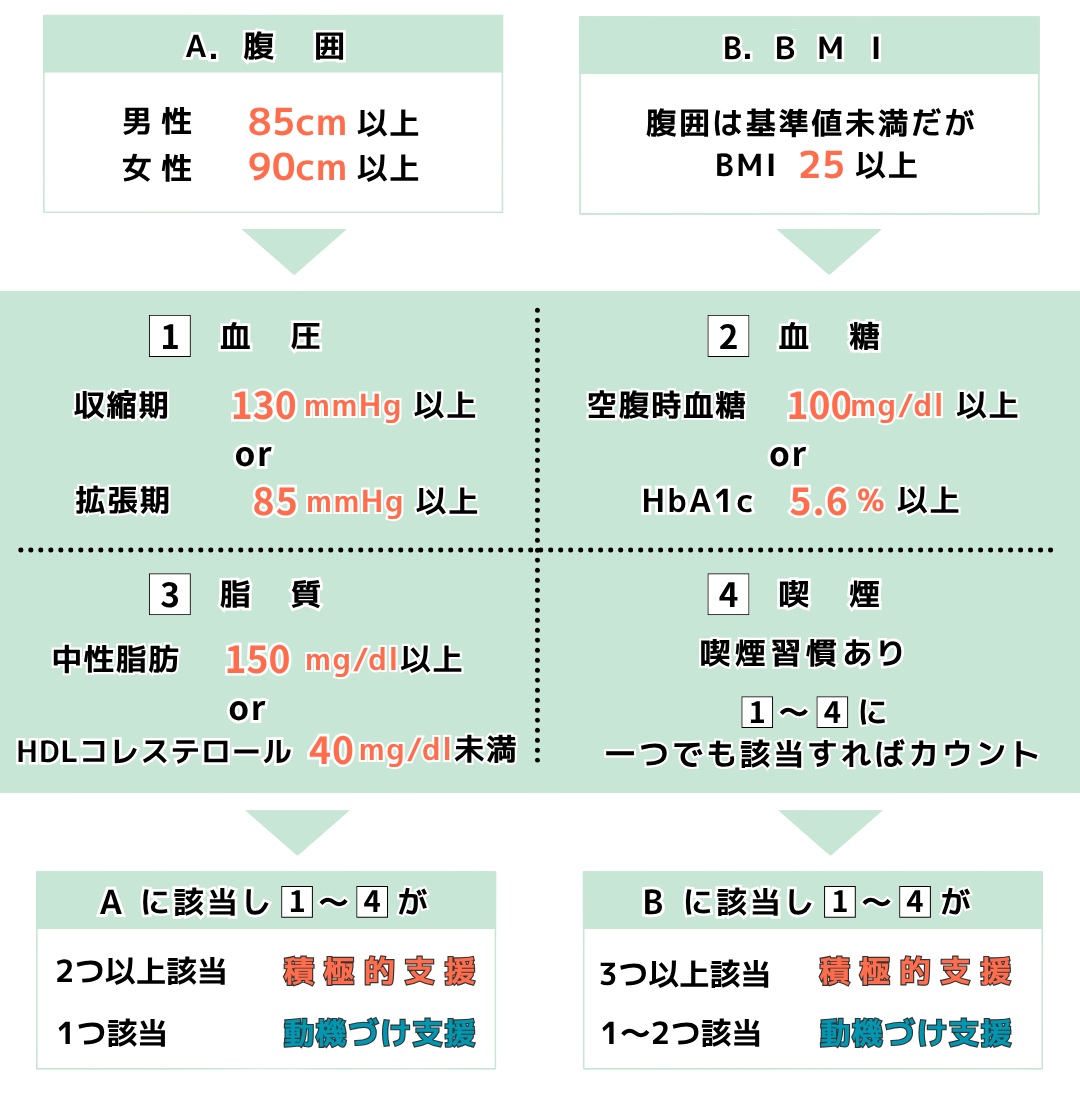 サービス内容　特定保健指導について